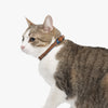 Vivid blue and Bourbon