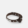 Chocolate brown