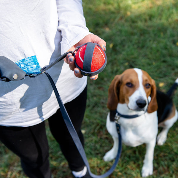 Comet blue