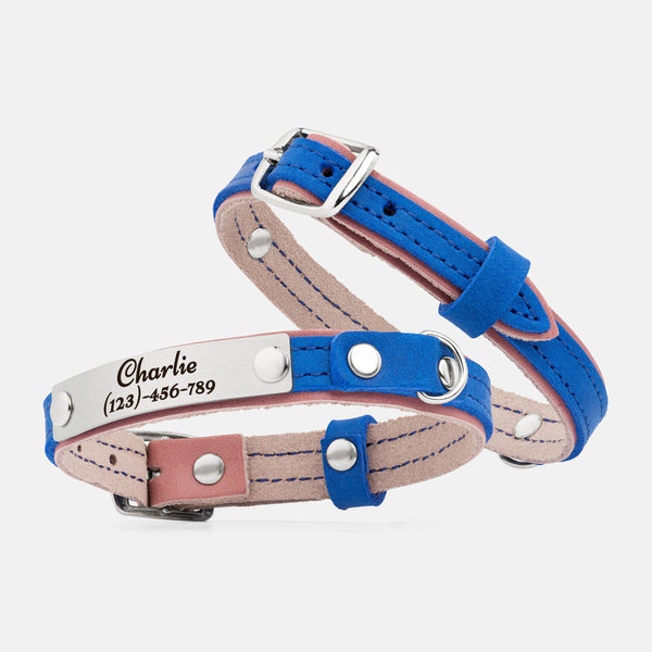 Dusty rose and Vivid blue