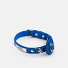 Vivid blue