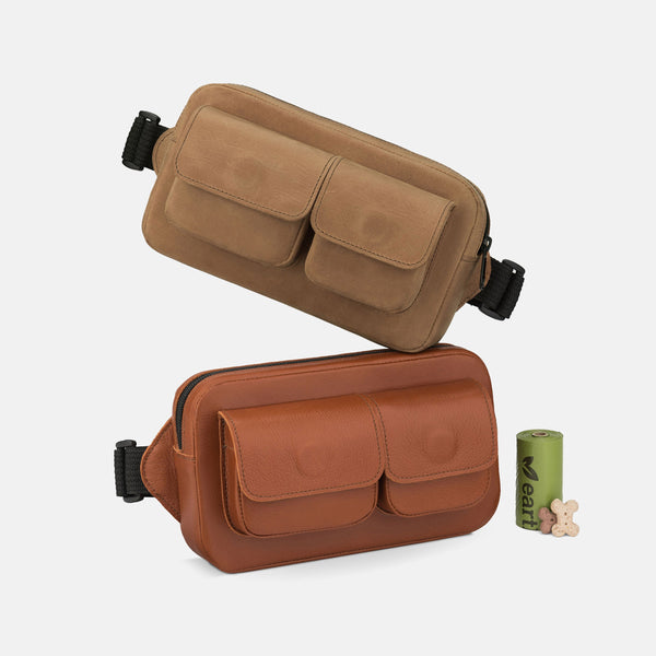 Leather Dog Treat and Walking Bag