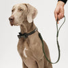 Pine green